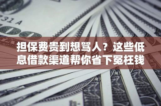 北京担保费贵到想骂人？这些低息借款渠道帮你省下冤枉钱