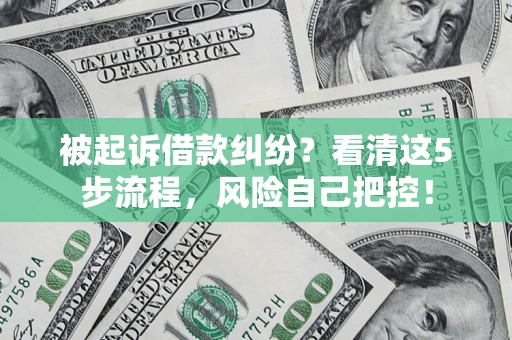 北京被起诉借款纠纷？看清这5步流程，风险自己把控！