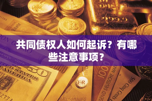 北京共同债权人如何起诉？有哪些注意事项？